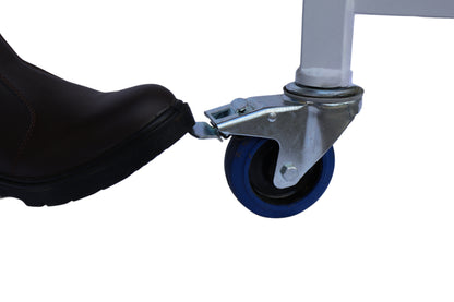 Standard Veterinary Table/Trolley